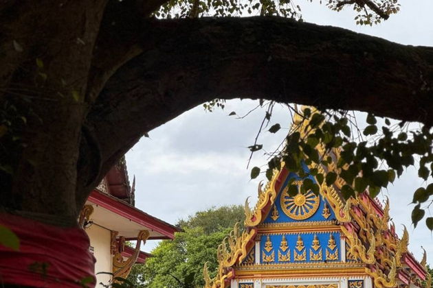 Фото экскурсии - Рафтинг-сафари по Пхукету: приключения в центре тропических джунглей Таиланда - 5