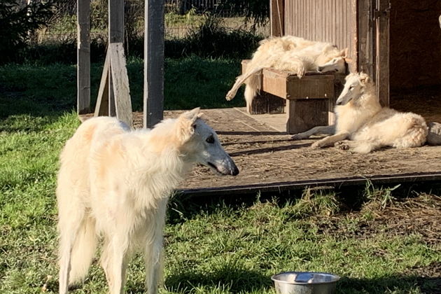 Фото экскурсии - Прогулка по усадьбе Марьино с визитом к Пиковой даме в дворянском поместье XIX столетия - 11
