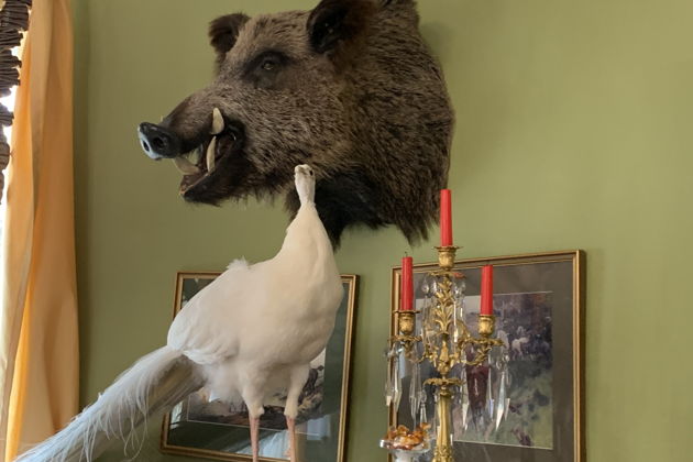 Фото экскурсии - Прогулка по усадьбе Марьино с визитом к Пиковой даме в дворянском поместье XIX столетия - 6