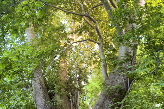 Фото экскурсии - Тянь-Шань: место, где душа находит покой - 1