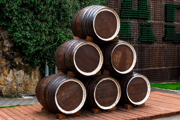 Фото экскурсии - Винное путешествие по Вайнфиртелю с дегустацией местных вин и аутентичным обедом - 5