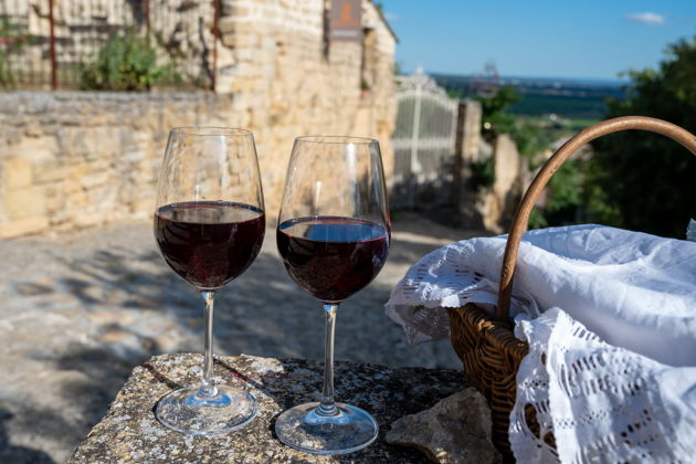 Фото экскурсии - Винное путешествие по Вайнфиртелю с дегустацией местных вин и аутентичным обедом - 6