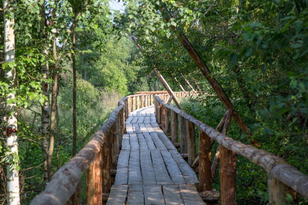 Фото экскурсии - Путешествие по русскому Провансу: Киржач, Кольчугино и Юрьев-Польский - 5