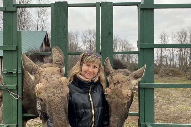 Фото экскурсии - Поездка на ферму лосей из Костромы на машине экскурсовода - 1