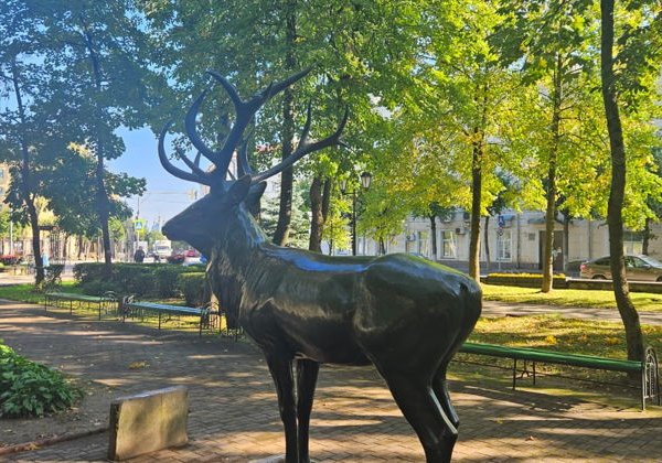 Индивидуальная обзорная прогулка по старому Смоленску - фото 3