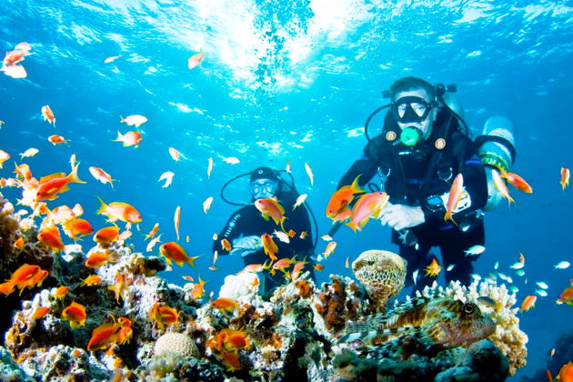 Фото экскурсии - Погружение с аквалангом в Бодруме - 5