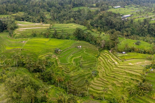 Фото экскурсии - Персональная экскурсия к вулкану Батур с аэросъемкой - 9