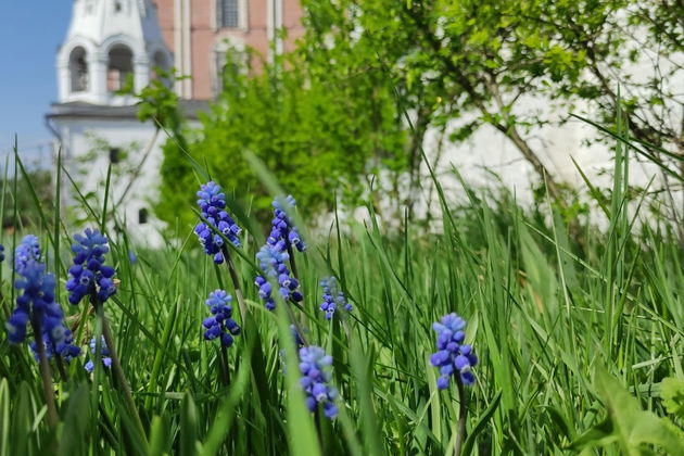 Фото экскурсии - Тайны старинной Рязани - знакомство с городом на обзорной прогулке - 8