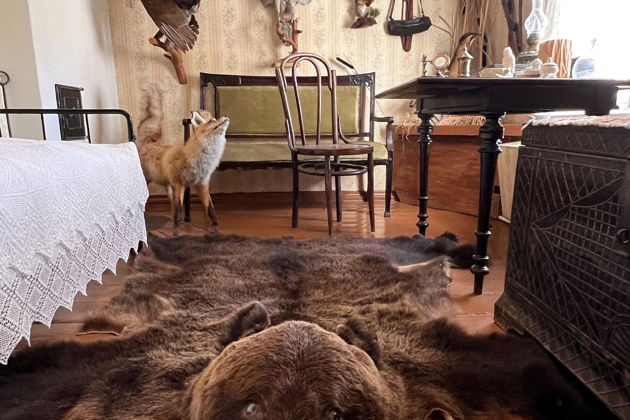 Фото экскурсии - Теплая встреча с Рязанью в ходе автобусно-пешеходной обзорной прогулки - 11