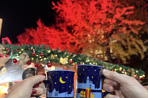 Фото - экскурсия: Рождественская прогулка по Тренто