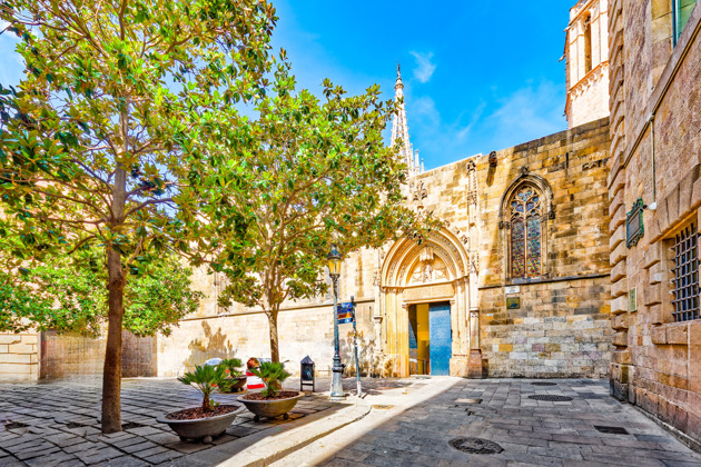 Фото - экскурсия: Фотосессия по главным местам Барселоны на персональной прогулке