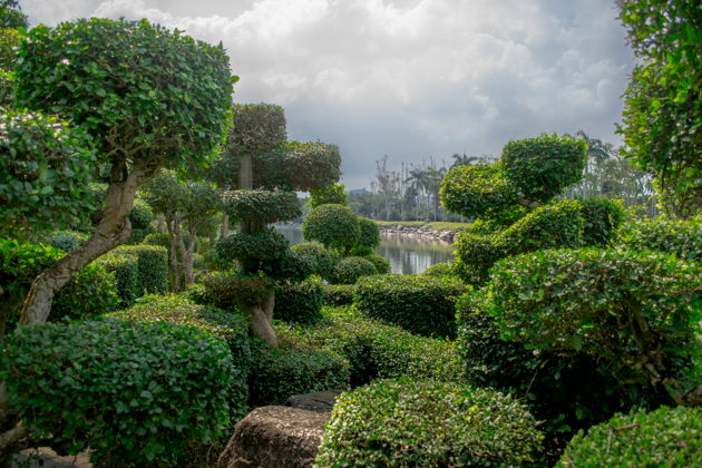 Фото экскурсии - Погрузитесь в культуру и красоту Таиланда в тропическом саду Нонг Нуч - 2