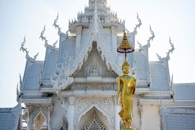 Фото экскурсии - Мега-трип: Ват Ян, Золотой Будда, Слоны и Деревня Длинношеих Женщин - 3