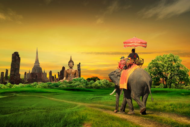 Фото экскурсии - Мега-трип: Ват Ян, Золотой Будда, Слоны и Деревня Длинношеих Женщин - 4