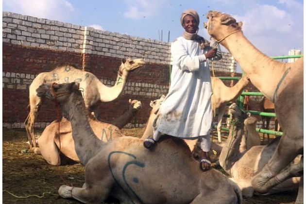 Фото экскурсии - Покорит сердце Каир всего за сутки - 8