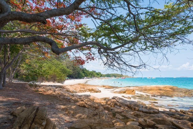 Фото экскурсии - Отправляемся из Паттайи на живописный военный пляж Сай Кео для пляжного отдыха - 5