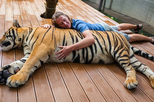 Фото экскурсии - В Кхао Кхео вас ждут обезьяны, травоядные и грозные хищники - 6