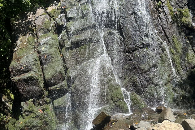 Фото экскурсии - Погружение в историю Сванов - трехдневное путешествие по древней Грузии - 4