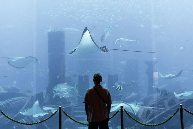 Фото экскурсии - Погрузитесь в магию Дубая за сутки с эксклюзивным туром в небольшой группе - 5