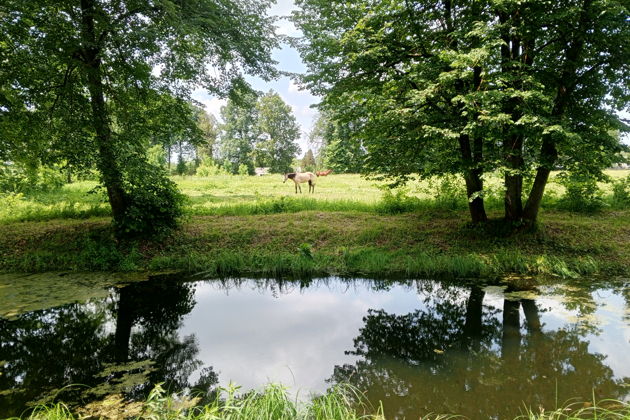 Фото экскурсии - Прогулки по дворянской усадьбе и знакомство с купеческим бытом в Полотняном заводе - 8