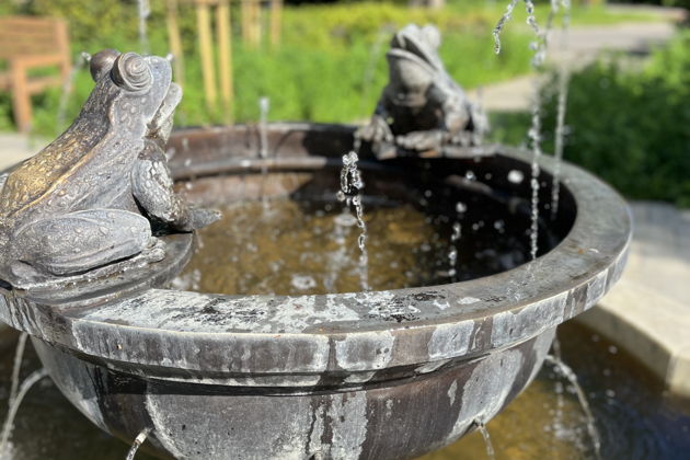 Фото экскурсии - Почувствуй себя главным персонажем книги "Огонь Блюстерорта" - 3