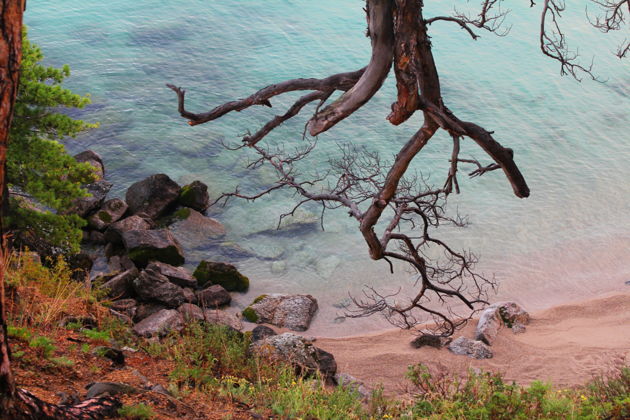 Фото экскурсии - Отправляемся на аэроходе к живописной бухте Песчаной - 12