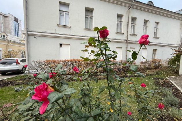 Фото экскурсии - Прогулка по аристократическим улицам Москвы: Волхонка, Пречистенка и Остоженка - 12