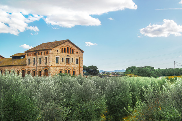 Фото - экскурсия: Экскурсия на гору Монтсеррат с посещением монастыря бенедиктинцев, Черной Мадонны и оливковой фермы