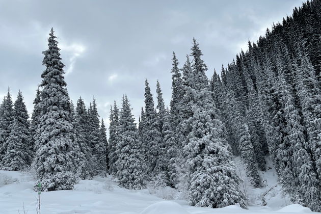 Фото экскурсии - Пешая или автомобильная экскурсия к Большому Алматинскому озеру - 1