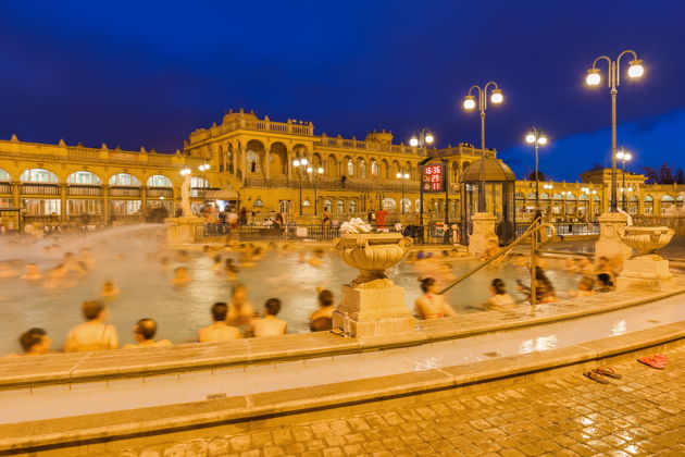 Фото экскурсии - Посещение термальных купален Сечени с билетом и дегустацией палинки - 5