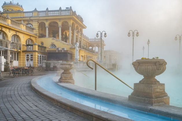 Фото экскурсии - Посещение термальных купален Сечени с билетом и дегустацией палинки - 6