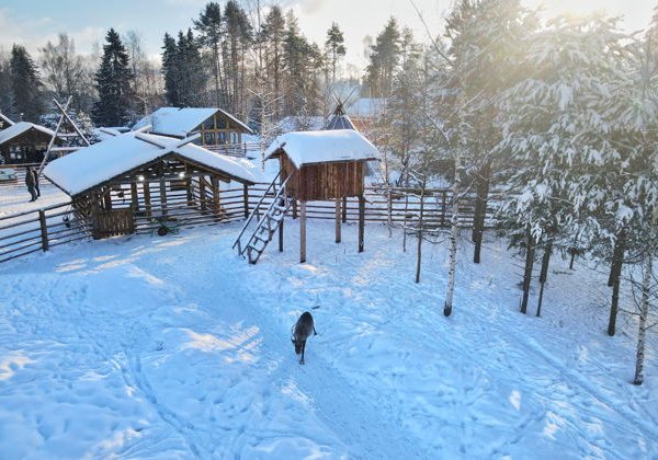 Новый Год в эко-Карелии за 3 дня: Дед Мороз Джухани, мраморный каньон Рускеала, долина водопадов и природный зоопарк! - фото 2