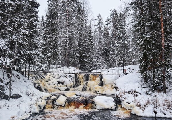 Новый Год в эко-Карелии за 3 дня: Дед Мороз Джухани, мраморный каньон Рускеала, долина водопадов и природный зоопарк! - фото 3