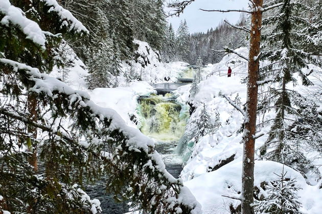 Фото экскурсии - Волшебный праздник в Петрозаводске: встреча с карельским Дедом Морозом Талви Укко - 3