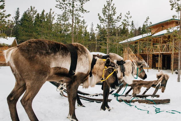 Фото - экскурсия: Волшебный праздник в Петрозаводске: встреча с карельским Дедом Морозом Талви Укко