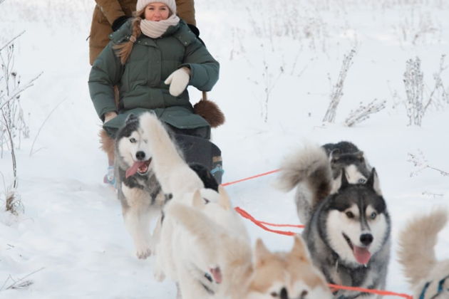 Фото экскурсии - Встречайте Новый год в Карелии с играми у Деда Мороза, посещением хаски-питомника и парка Рускеала - 6