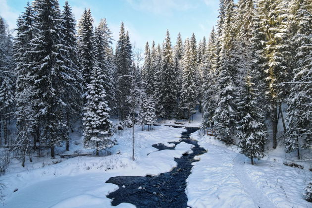 Фото экскурсии - Встречайте Новый год в Карелии с играми у Деда Мороза, посещением хаски-питомника и парка Рускеала - 7