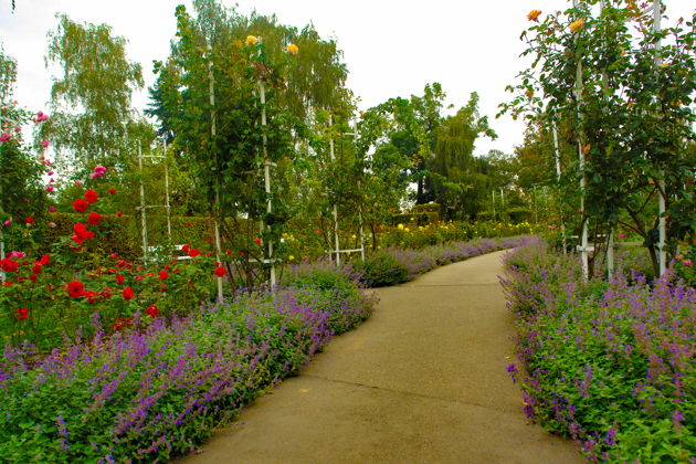 Фото экскурсии - Прогулка по Петршину: интерактивный квест в вашем смартфоне - 7