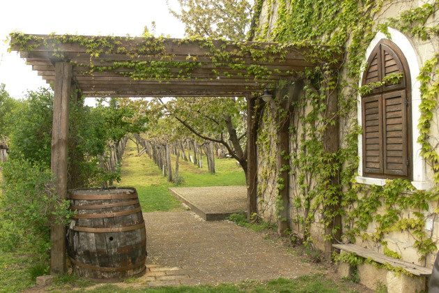 Фото - экскурсия: Винный тур по венгерской глубинке с обедом из Будапешта