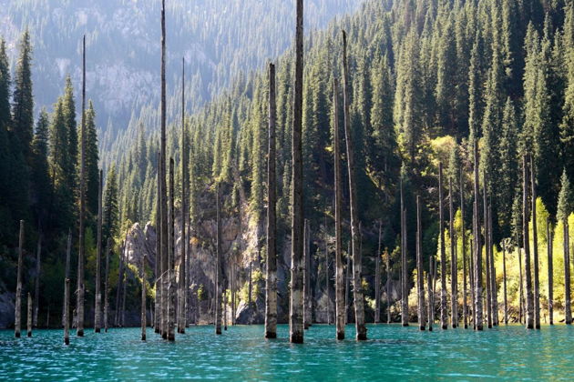 Фото экскурсии - Откройте для себя природные жемчужины Казахстана: Каинды, Кольсай и Чарын в мини-группе - 11