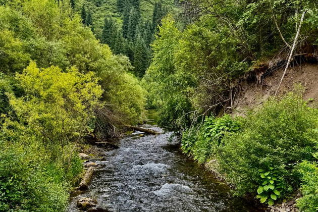 Фото экскурсии - Откройте для себя природные жемчужины Казахстана: Каинды, Кольсай и Чарын в мини-группе - 9