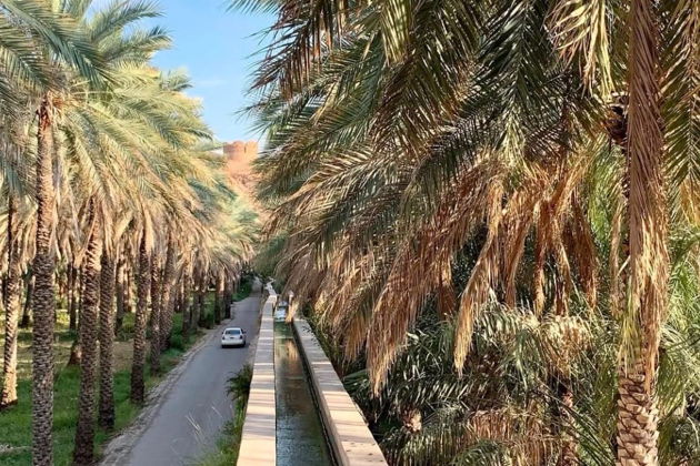 Фото экскурсии - Покоряем горные маршруты и древние крепости Омана на внедорожнике - 12