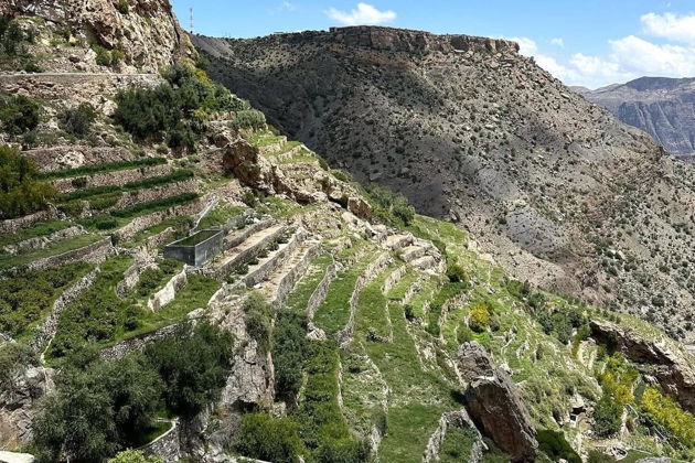 Фото экскурсии - Покоряем горные маршруты и древние крепости Омана на внедорожнике - 5