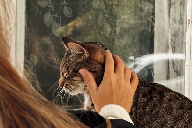 Фото экскурсии - Прогулка по старинным улочкам Симбирска и современным проспектам Ульяновска с аудиогидом - 4