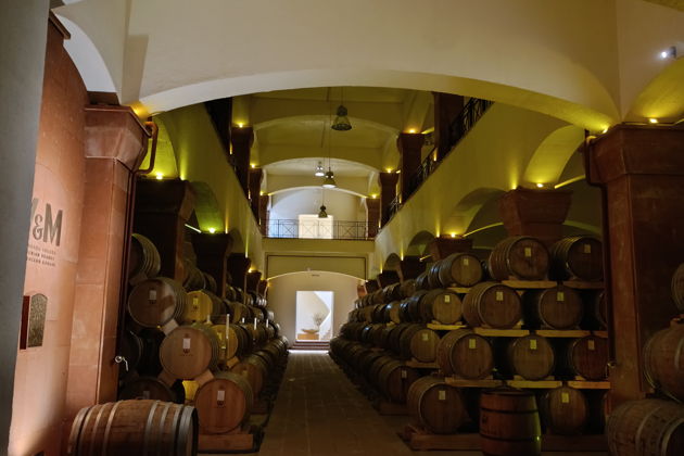 Фото экскурсии - Прогулка по склонам Арагаца с дегустацией армянских вин - 4