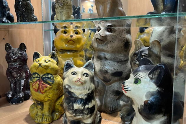 Фото экскурсии - В Калугу за котами — экскурсия в уникальный калужский КотМузей - 4