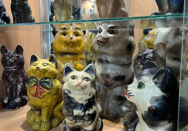 В Калугу за котами - фото 4