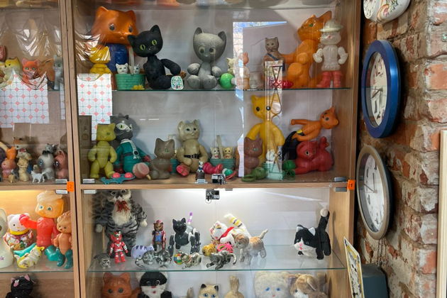 Фото экскурсии - В Калугу за котами — экскурсия в уникальный калужский КотМузей - 5