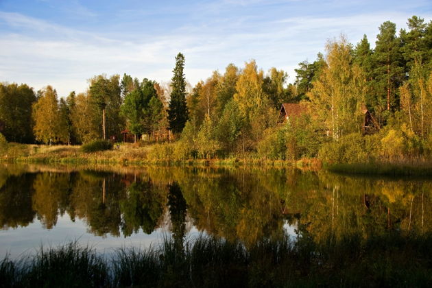 Фото экскурсии - Волшебная Берендеевка: увлекательный парковый маршрут в Костроме - 2
