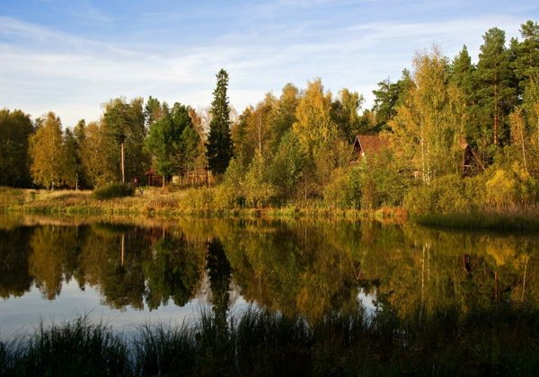 «Сказочная Берендеевка»: небанальный парковый маршрут в Костроме - фото 2
